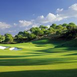 Газон для гольф-полей "Tee & Fairways" ("Ти & фэйрвэйс") (20 кг) Газон для гольф-полей "Tee & Fairways" ("Ти & фэйрвэйс") (20 кг)