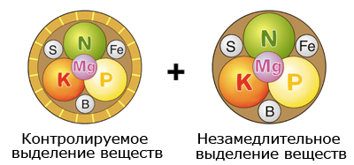 Два-вида-гранул-Базатоп.jpg