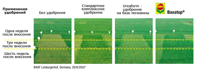 Влияние-на-внешний-вид.jpg