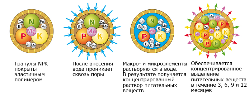 Принцип-действия-гранулиров.jpg